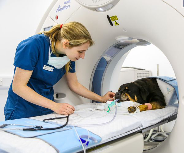 Магнітно-резонансна