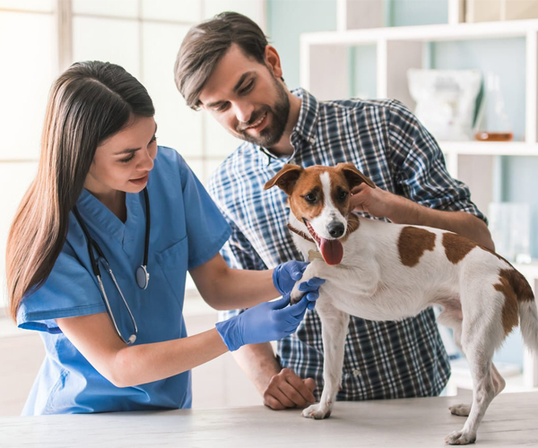 Інтенсивна терапія