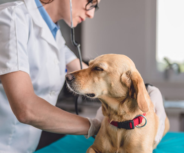 Неврологія