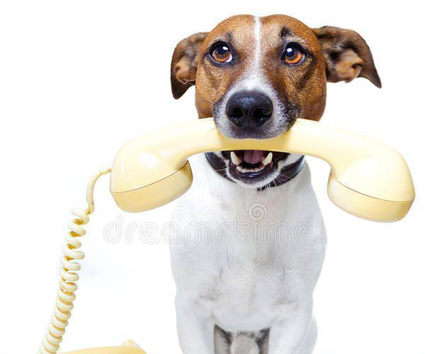 Виклик лікаря додому